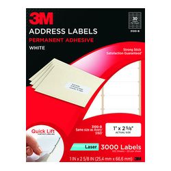 3M Address Labels 3100-B, 1 in x 2 5/8 in, 30/sheet, 100 sheets/pk