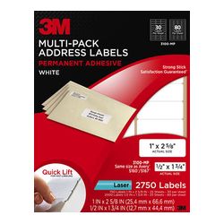 3M Address Labels 3100-MP, 1 in x 2 5/8 in & 1/2 in x 1 3/4 in, Mailing Multi-Pack